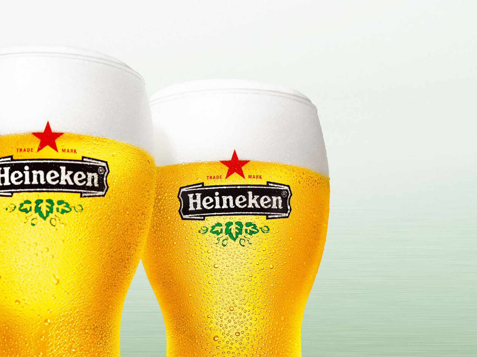 Heineken Bier